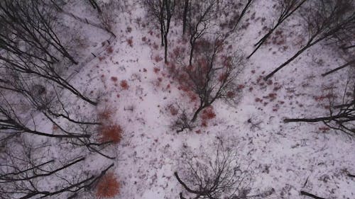 Vista Aérea Del Paisaje Invernal