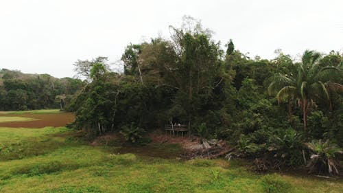 Schoonheid Van De Natuur