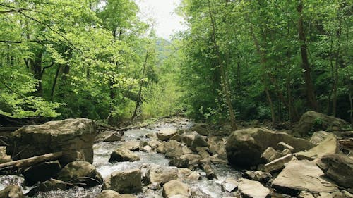 A Shallow River Streaming Through A Bed Of Rocks