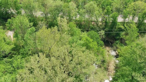 Aerial Shot Of River