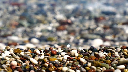 Pebbles On The Shore