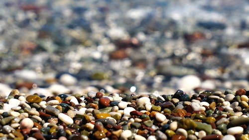 Kiezelstenen Op De Kust