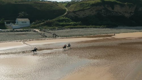 Images Aériennes D'hommes Appréciant L'équitation Le Long Du Bord De Mer