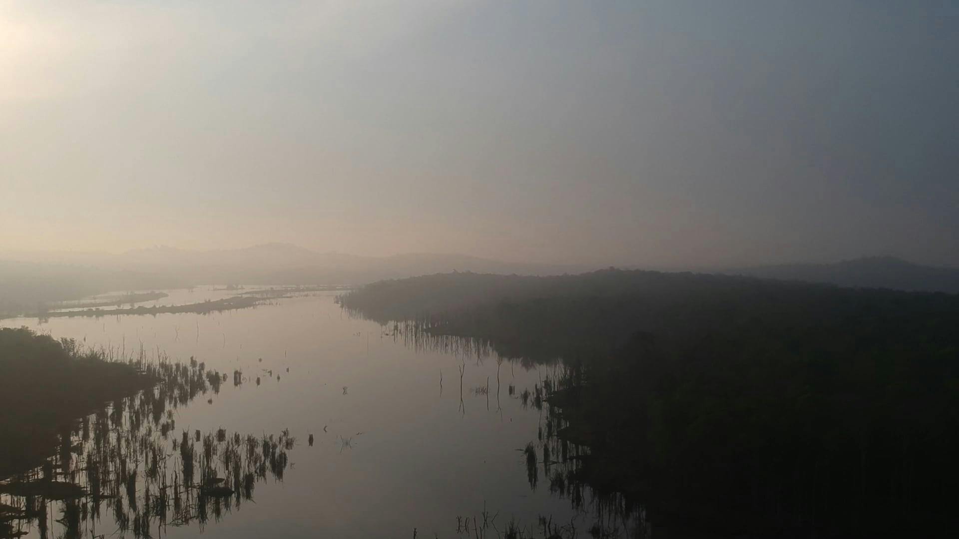 Video by Mohamed Jamshed