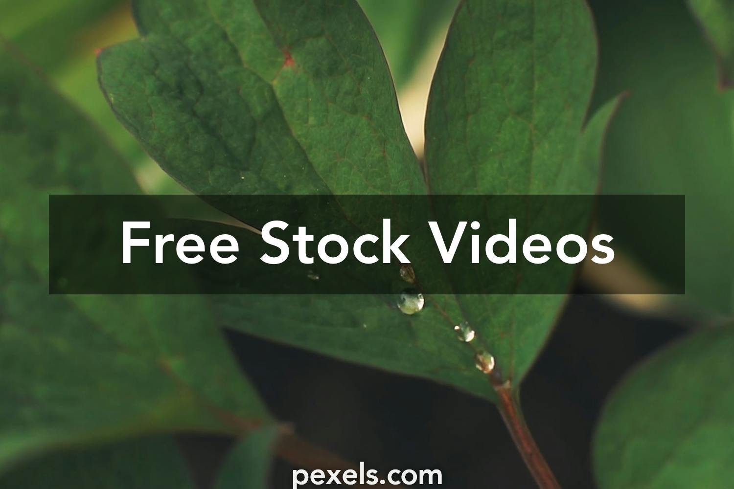 120fps Videos, Download The BEST Free 4k Stock Video Footage & 120fps ...