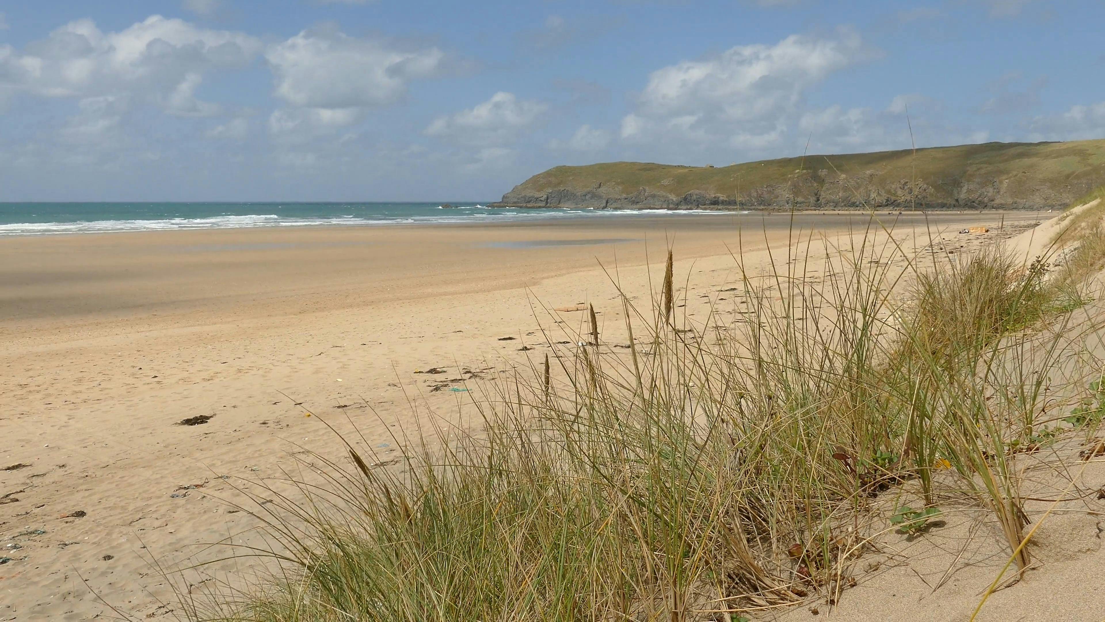 Low Tide On Sandy Beach · Free Stock Video