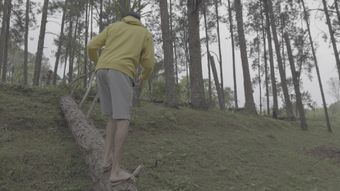 log灰片视频素材