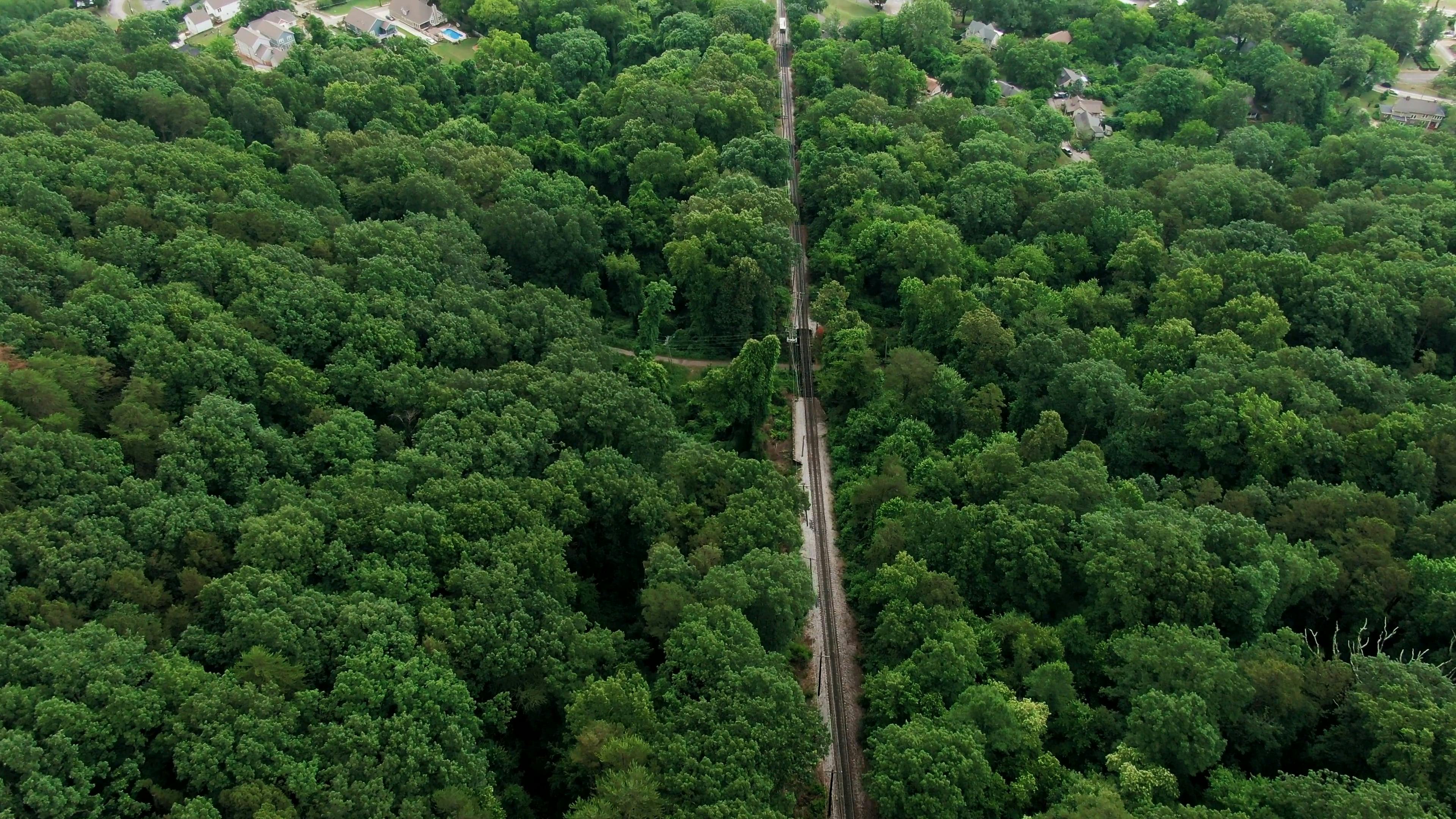 Imágenes De Drones De Un Bosque Urbano · Vídeos de stock gratuitos