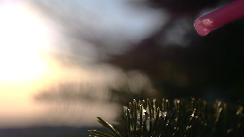  A Macro Footage Of A Water Bubble Slowly Freezing On A Cold Winter's Day