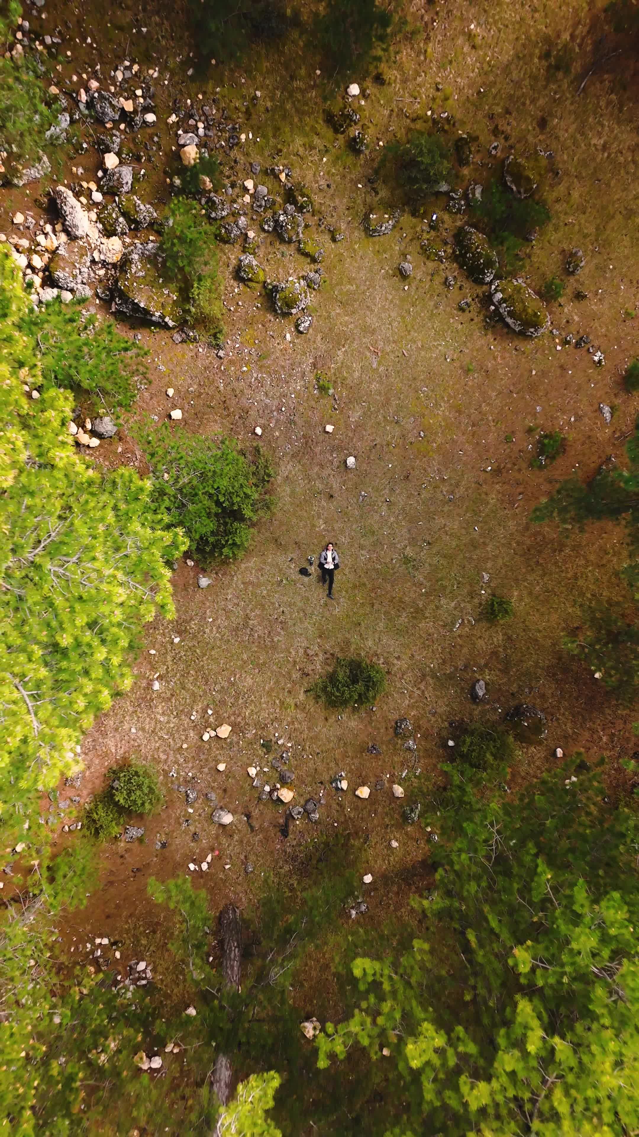 an aerial view of a forest with trees and dirt 24796950 — free pexels stock footage