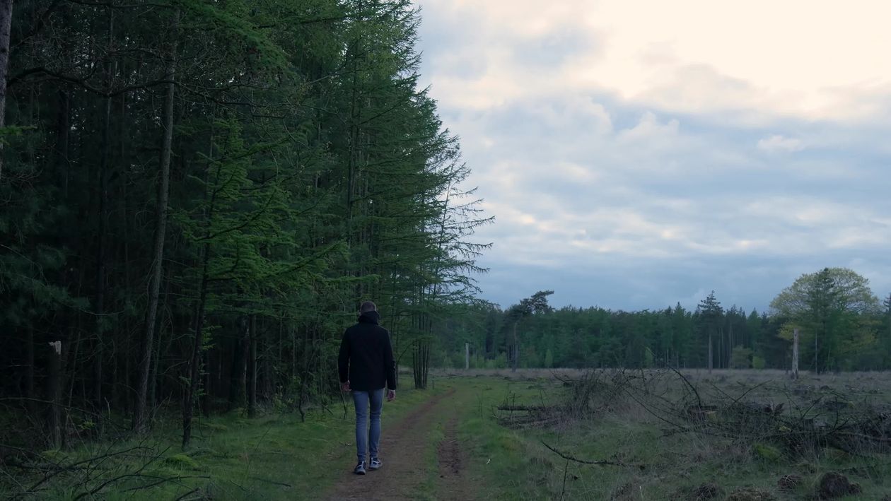 A person walking down a dirt road in the woods Free Stock Video Footage ...