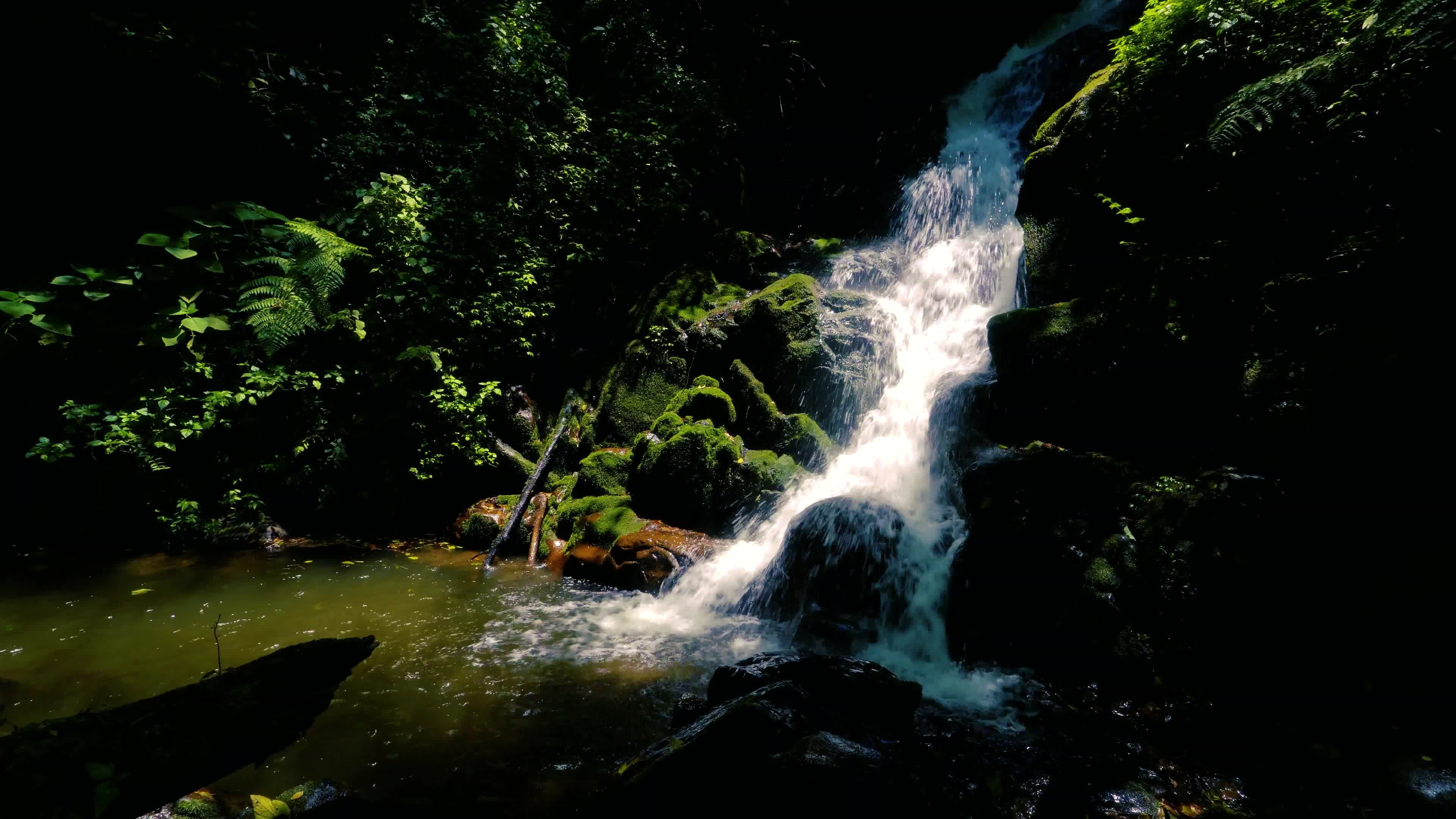 A waterfall in the middle of a forest Free Stock Video Footage, Royalty ...