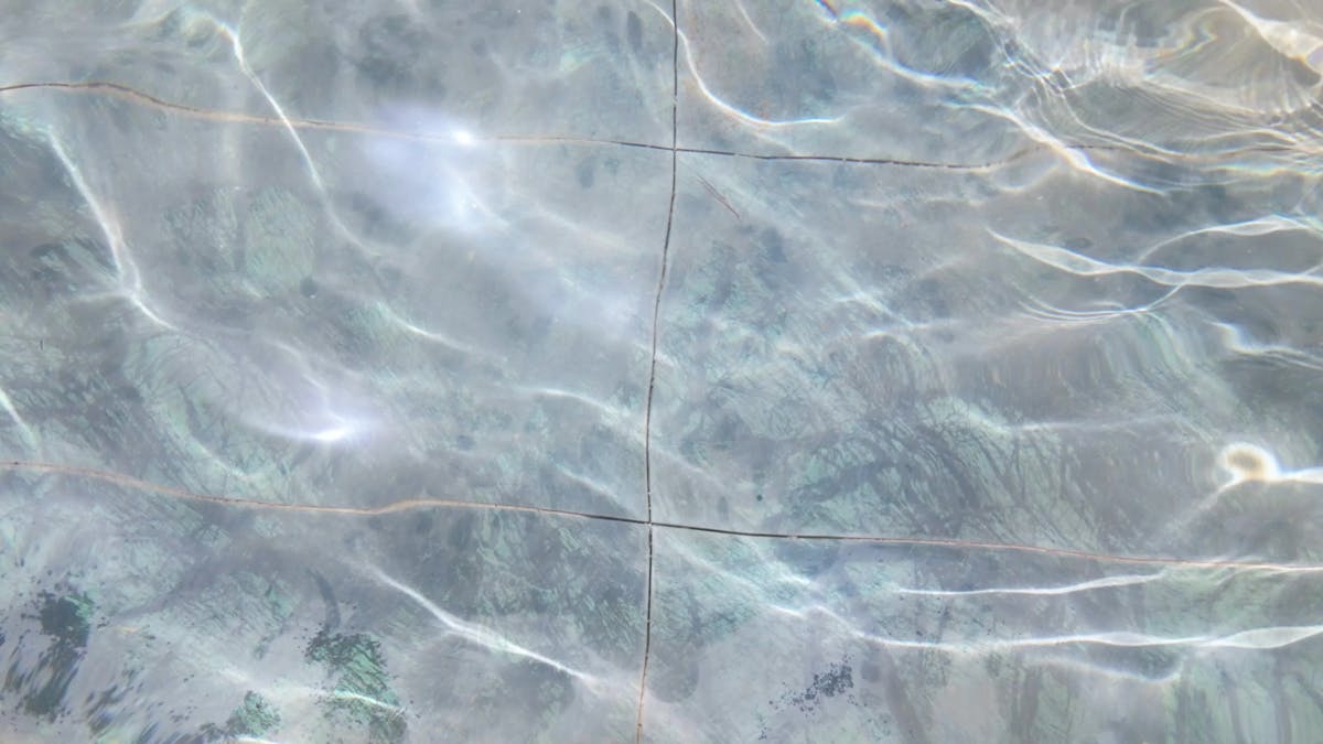 Motion Backgrounds Videos, Download The BEST Free 4k Stock Video