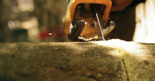 Person Sawing A Log