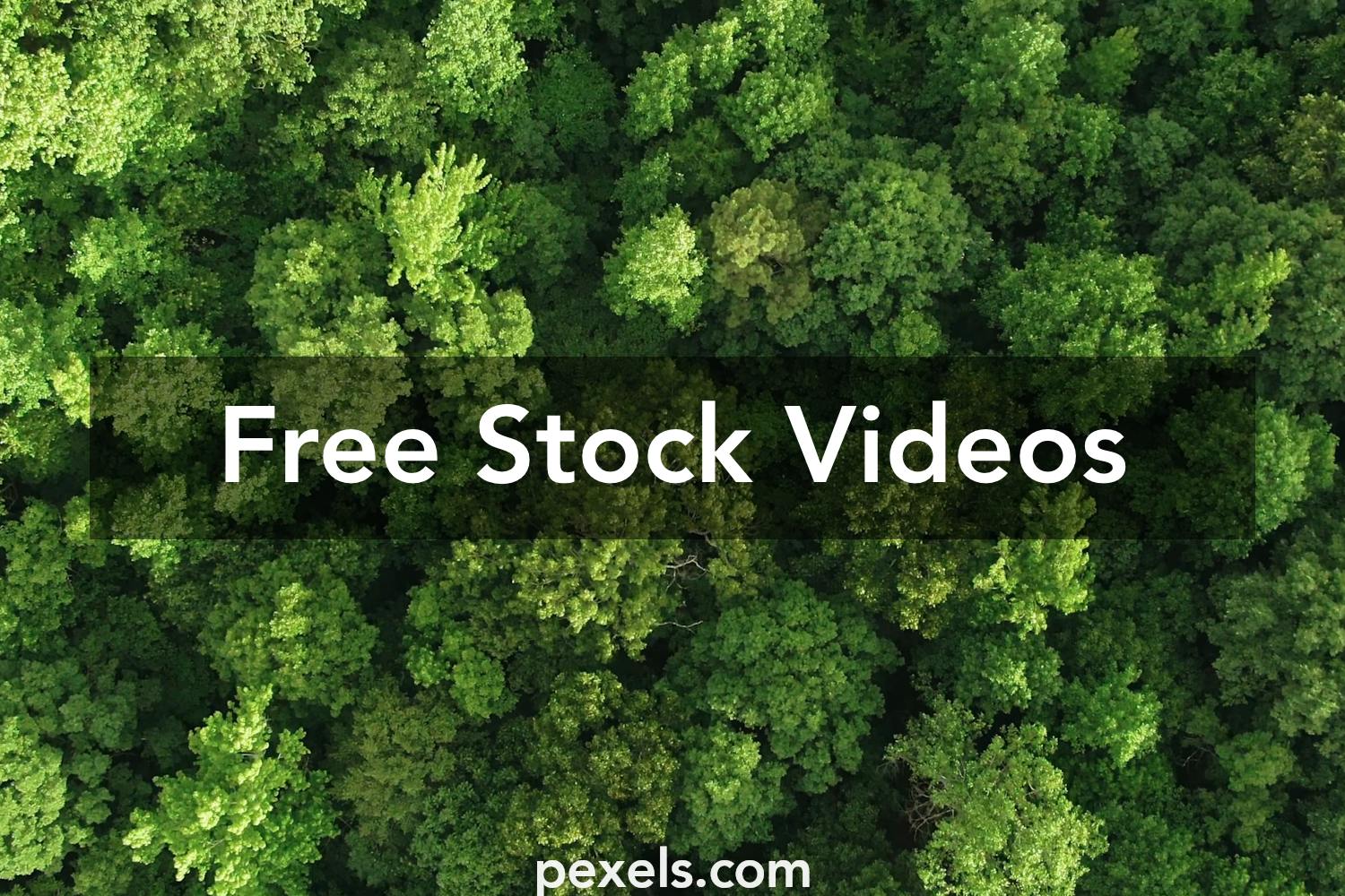 Green Videos, Download The BEST Free 4k Stock Video Footage & Green HD ...