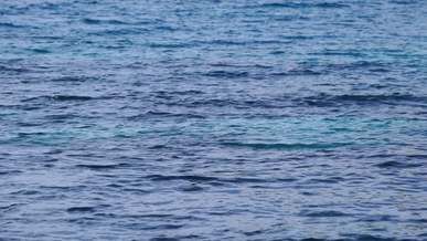 the calm water of the sea