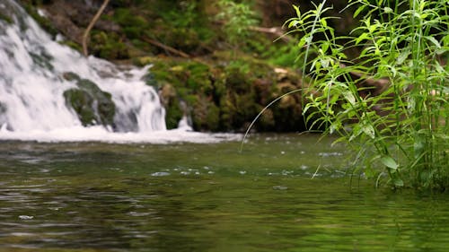 beautiful waterfall in the forest	