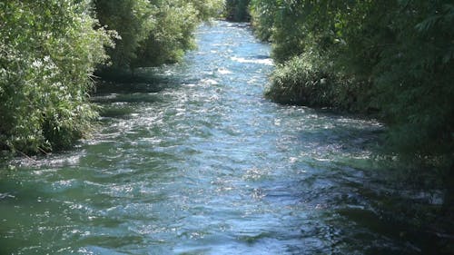 Река с сильным течением