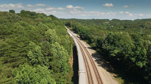 Riprese Aeree Di Un Treno Che Passa Attraverso Una Vegetazione Lussureggiante