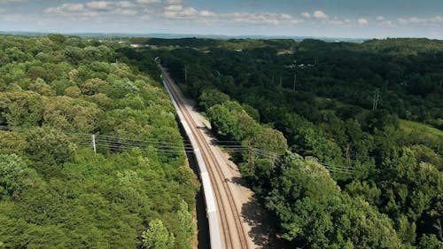 Railway In The Middle Of The Woods