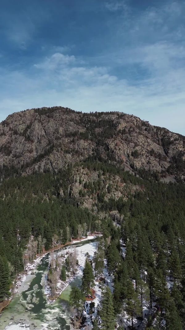 Los mejores 30.000+ vídeos de Bosque