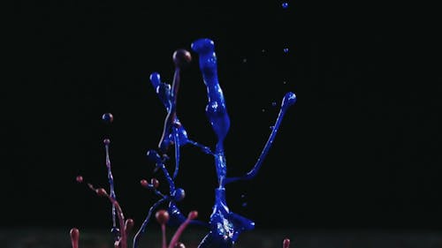 Splatters Of Colored Liquid
