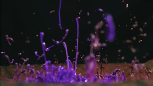 A Splatters Of Purple Liquid