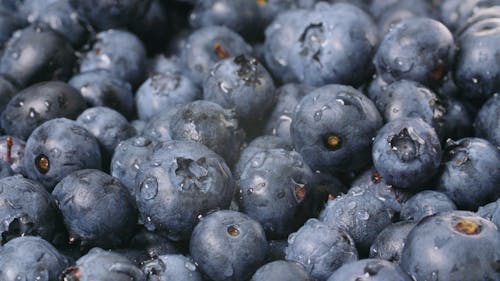 Close-Up View Of Blueberries Washed With Water