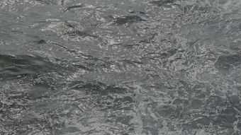 具身智能视频素材