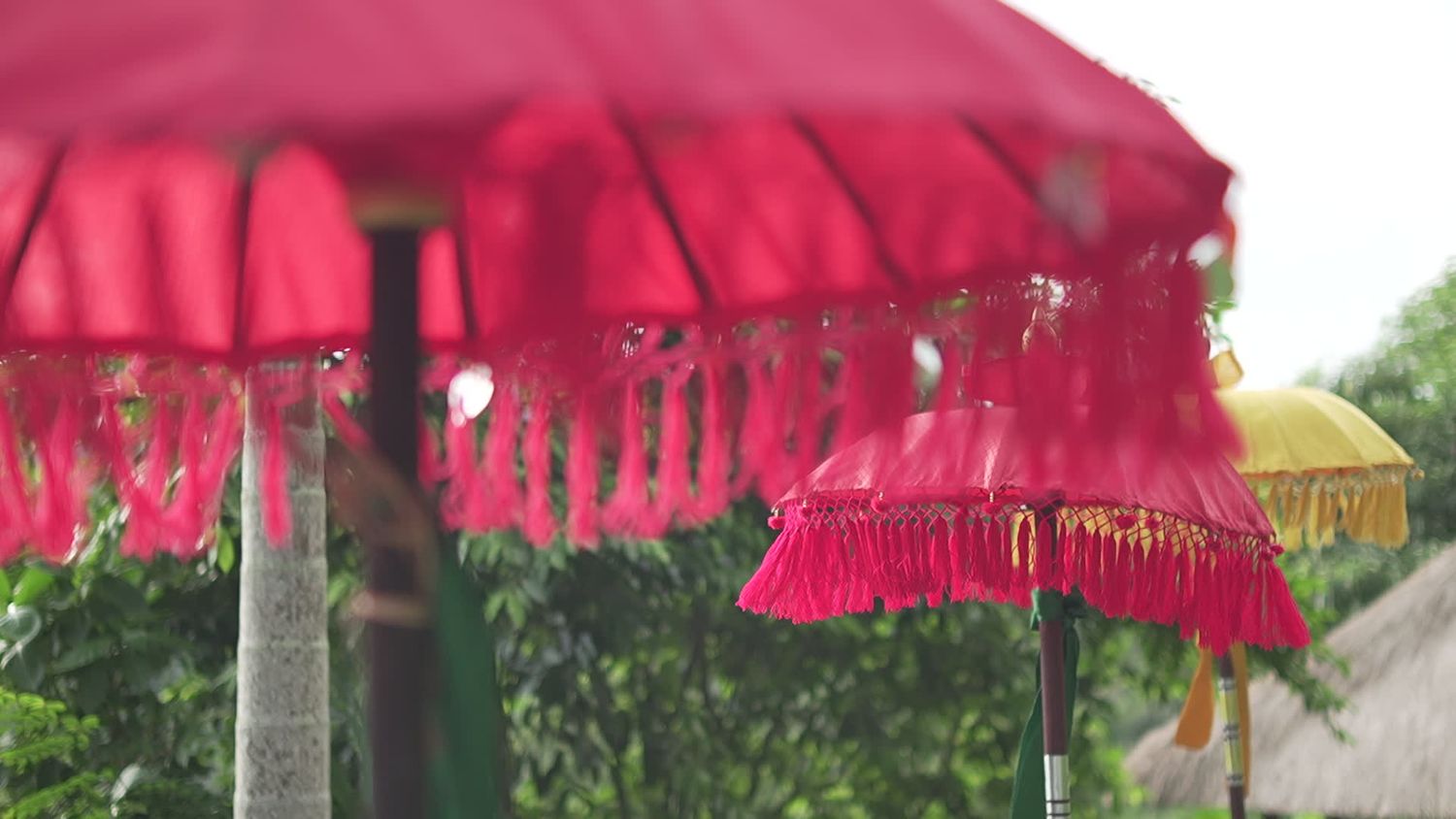 Fringing Videos, Download The BEST Free 4k Stock Video Footage ...