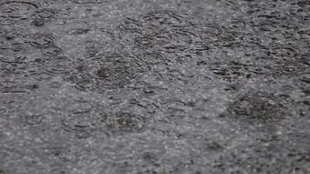 雨珠滴落高清视频高清视频高清视频视频素材