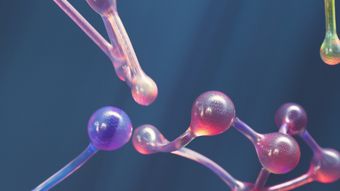 Twistedpoly Visualisi