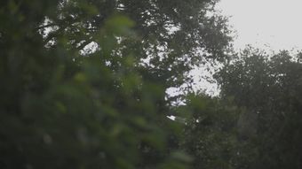 下雨天视频素材