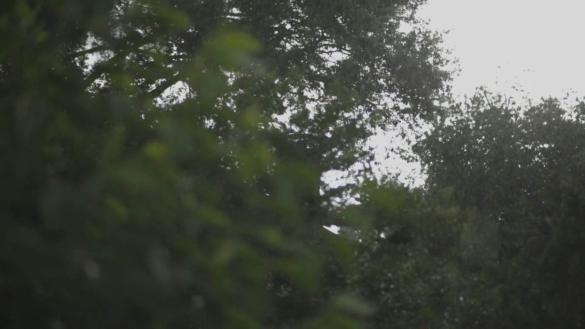 A View From The Window Of Rain Pouring Down · Free Stock Video