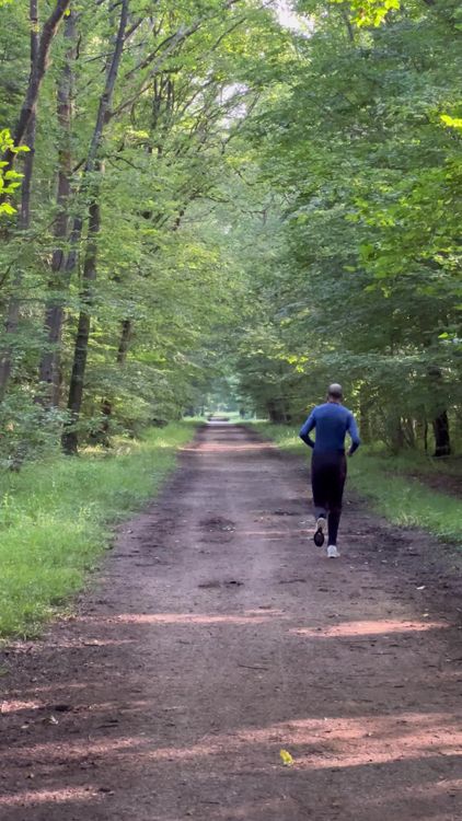 A person is walking down a dirt road in the woods Free Stock Video ...