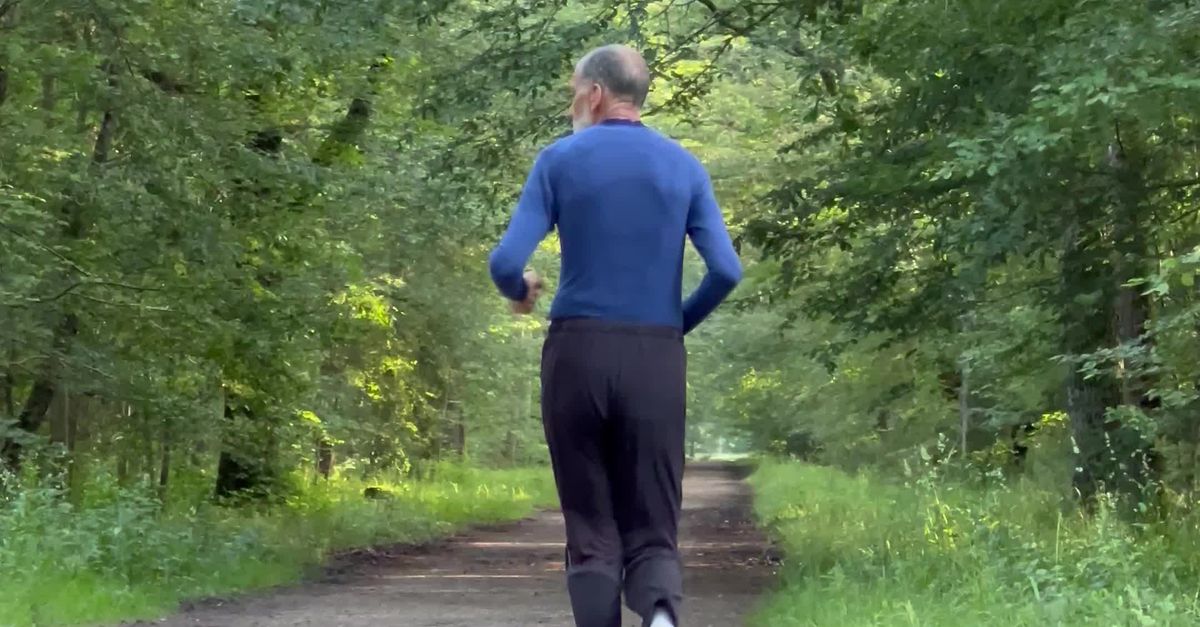 Running Down Path A person running down a path in the woods Free Stock Video Footage ...