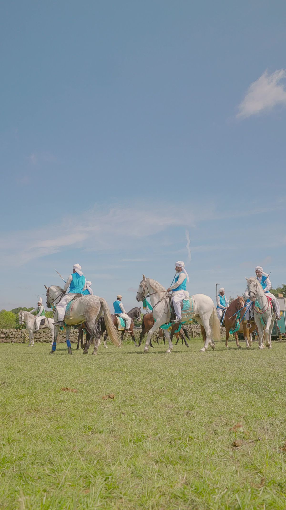 Horse Videos, Download The BEST Free 4k Stock Video Footage & Horse HD ...