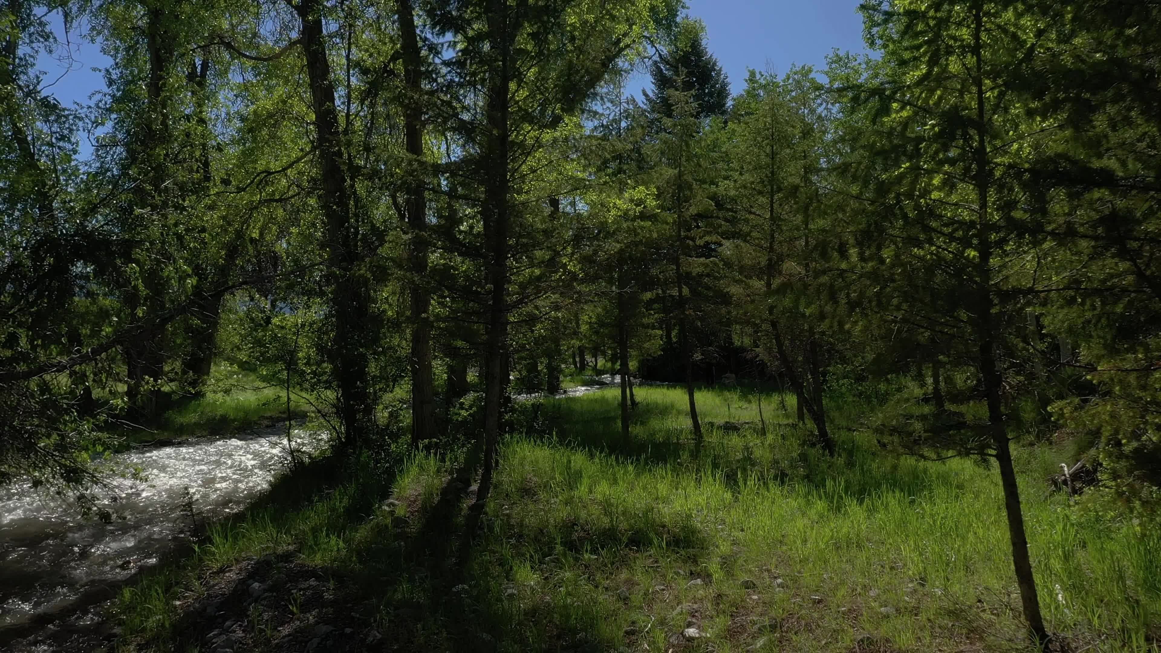 Video by Alfo Medeiros
