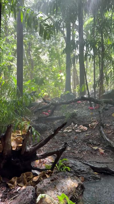 Petra Nesti's fantasy landscape cinematic video