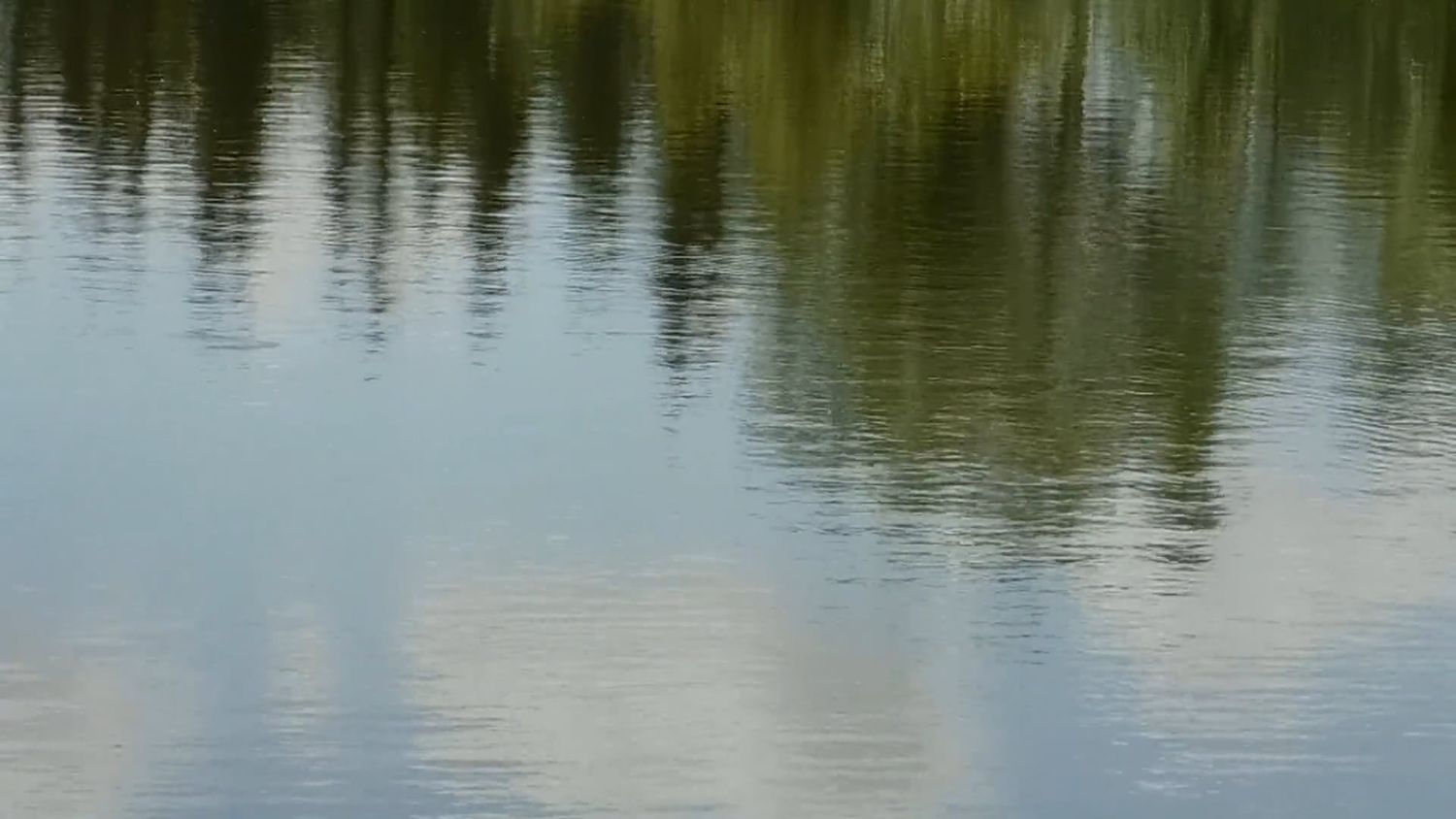 Nature Water Videos, Download The BEST Free 4k Stock Video Footage ...