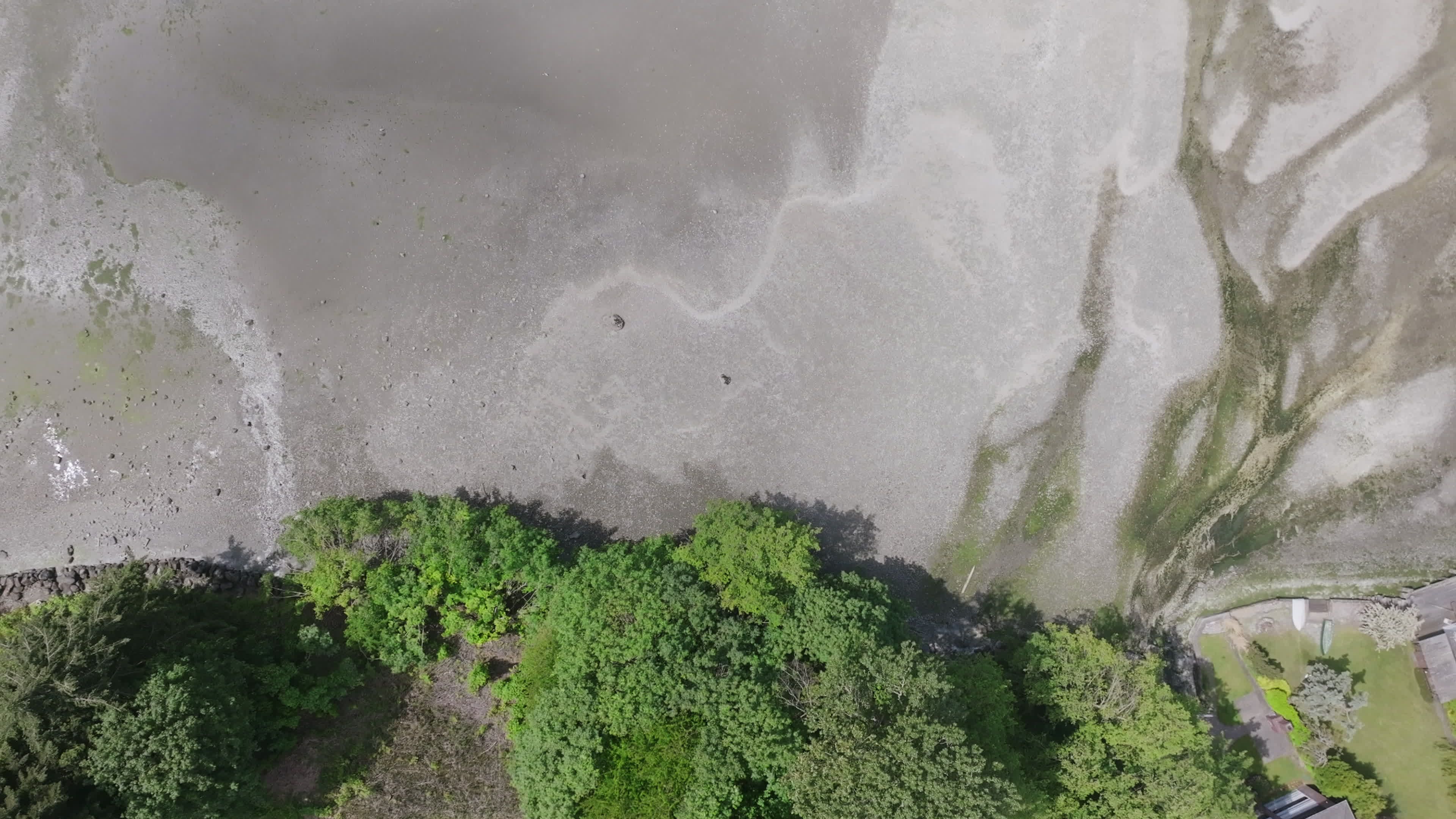 A bird flies over a white sand beach Free Stock Video Footage, Royalty ...
