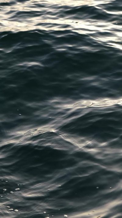 Zehra K.'s ocean waves sunset video