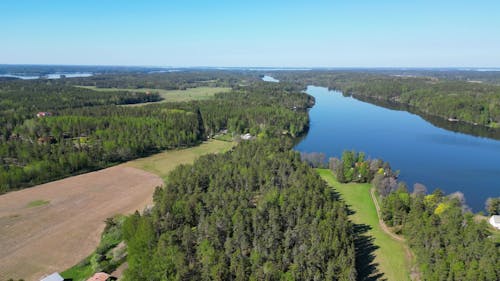 4K Drone Journey: Scenic Lakes and Forests