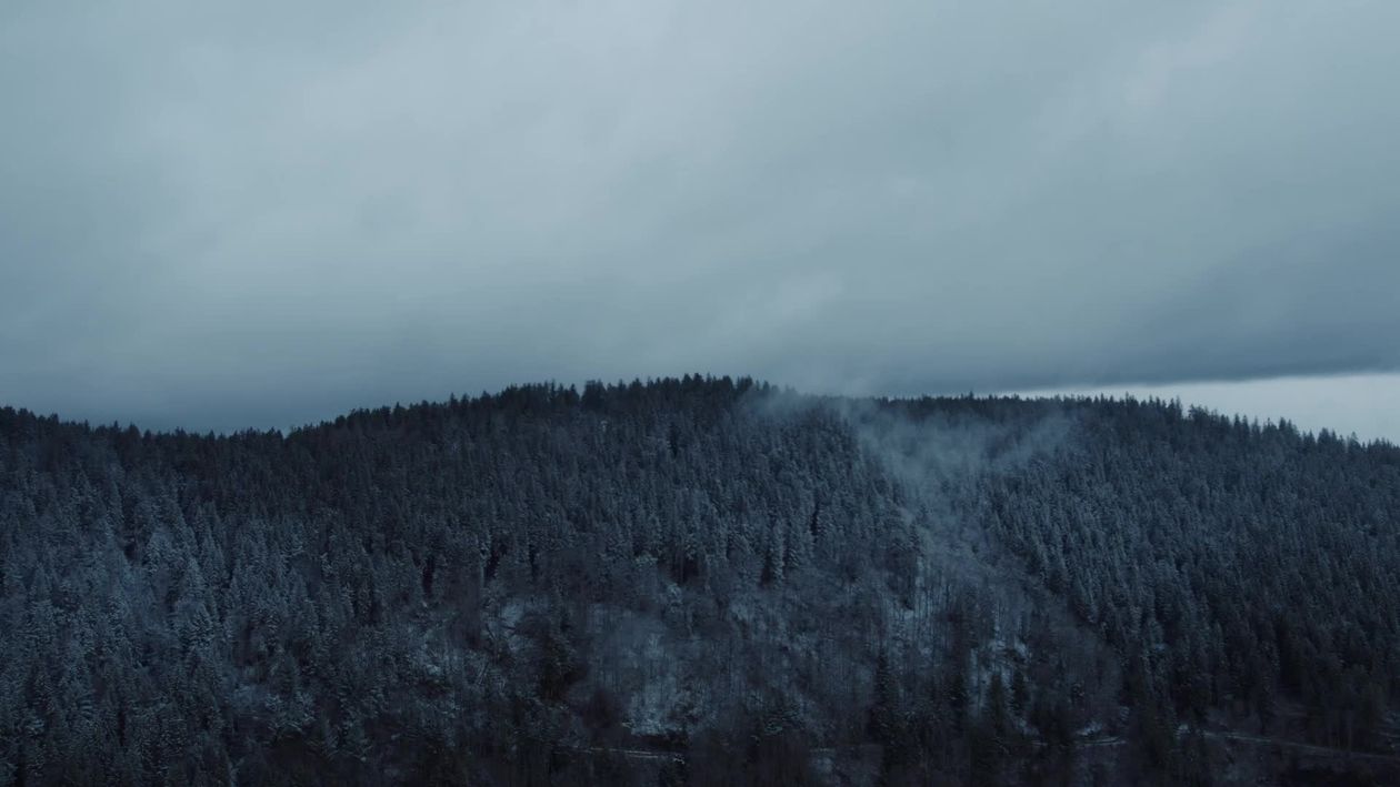 A snowy forest with trees and a mountain in the background Free Stock ...