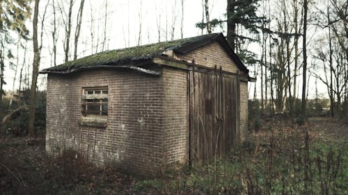 Opuszczony Dom W Lesie