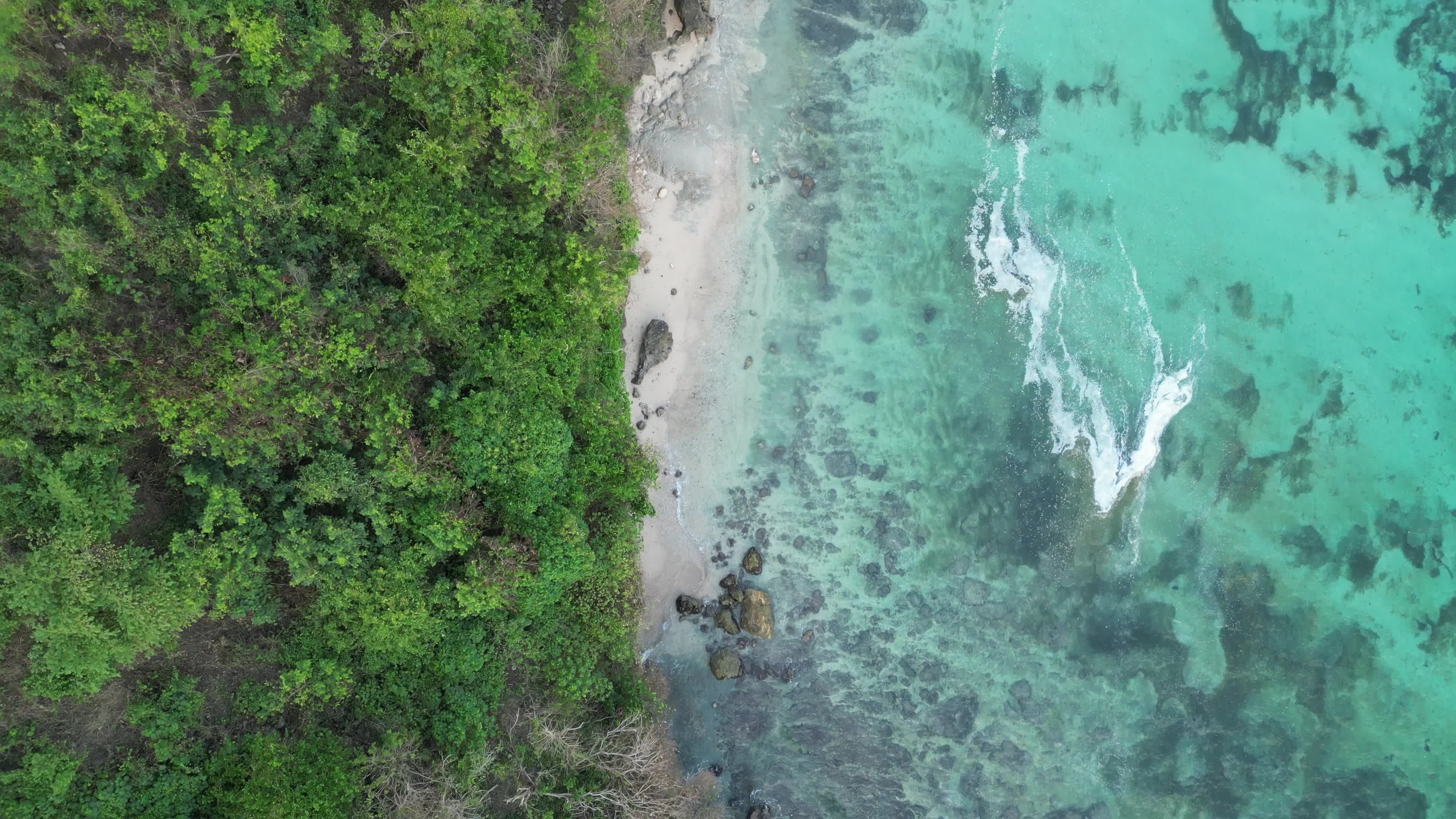 Aerial view of a beach and a green forest Free Stock Video Footage ...