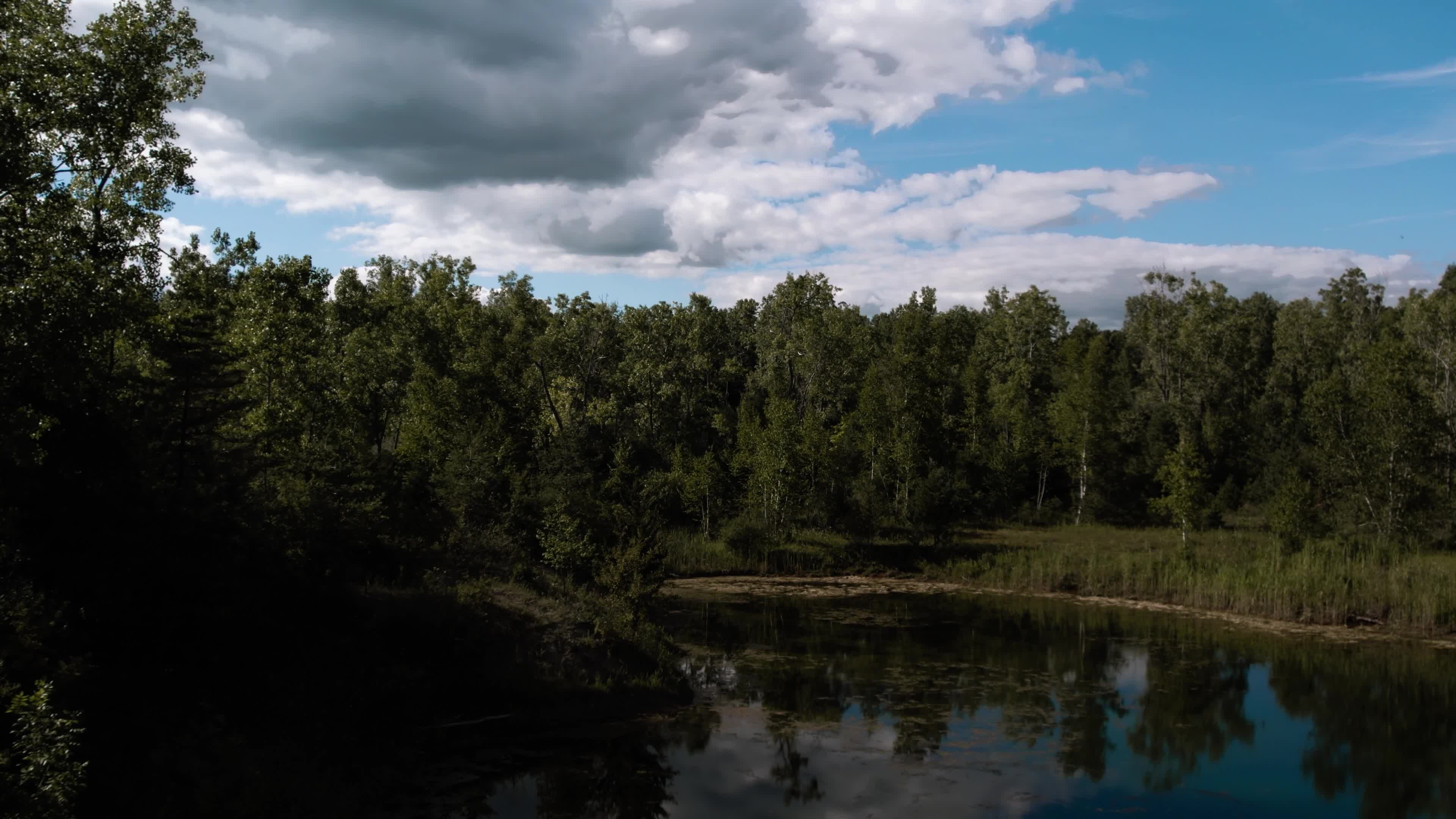 Video by Lloyd Douglas