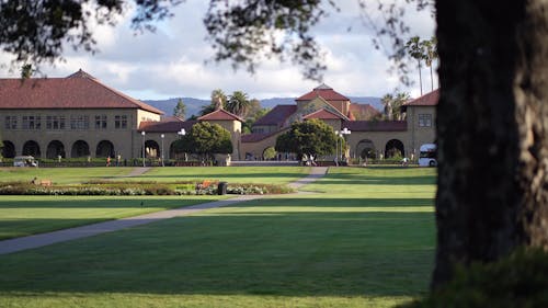 Université de standford en californie - standoford university