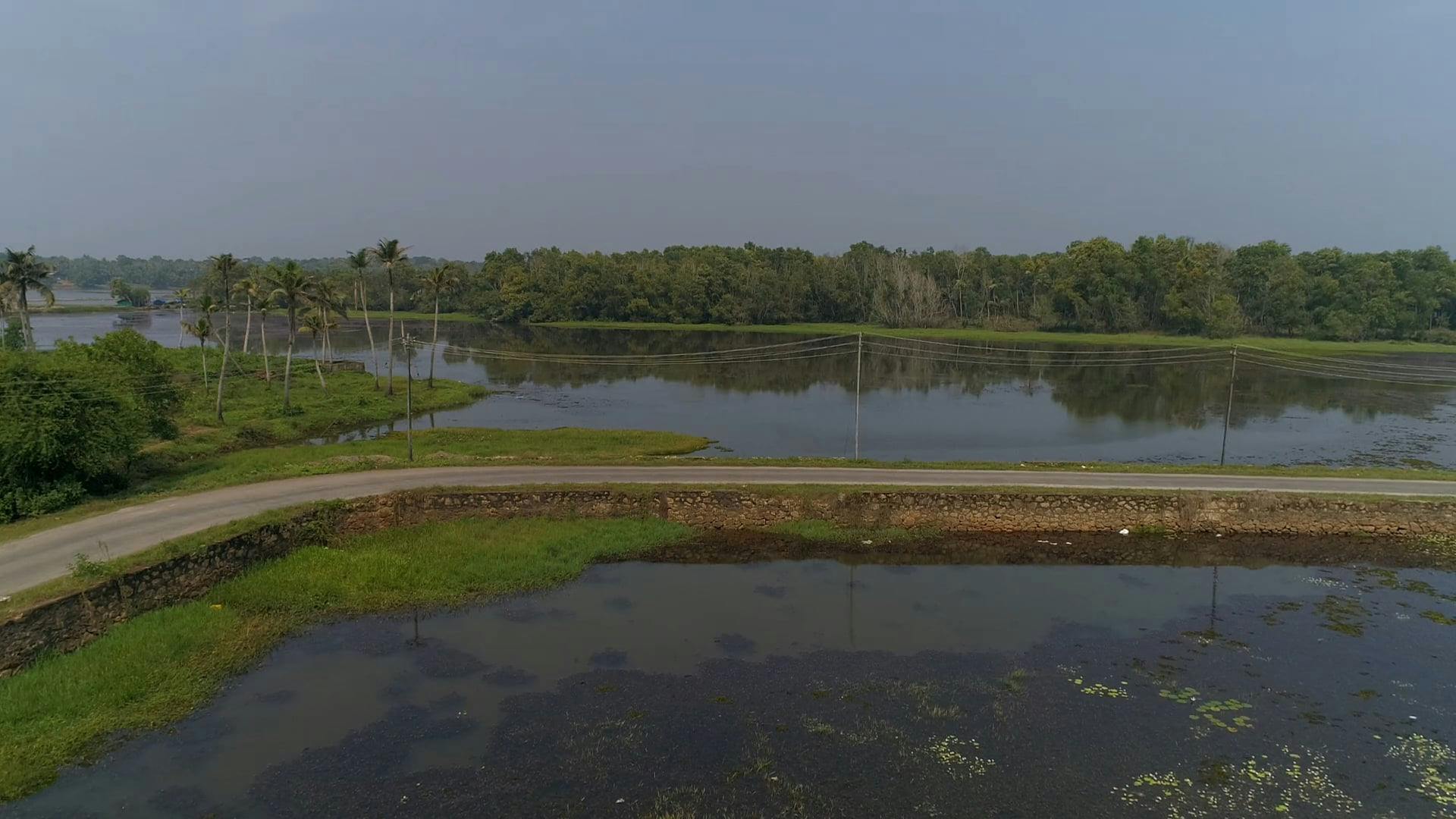 A Road Across A Swamp · Free Stock Video