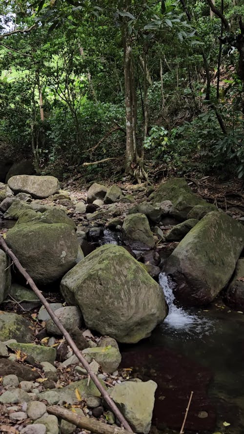 Rivière Entre Des Rochers